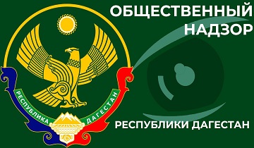 Общественный надзор