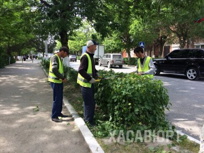 Более 500 активистов приняли участие на субботнике в Хасавюрте