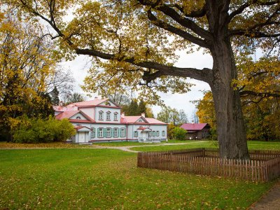 250- летний Абрамцевский дуб борется за звание Европейского дерева