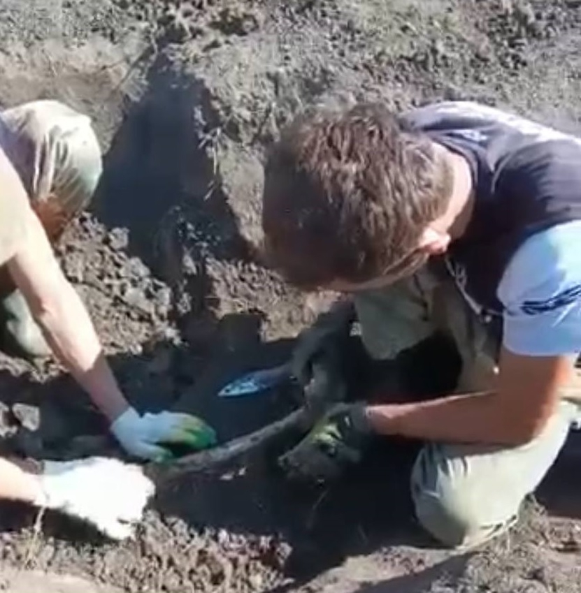 Поисковики в Республике Крым