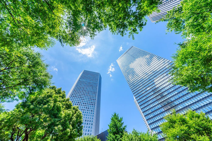 Зеленый дом — это будущее!