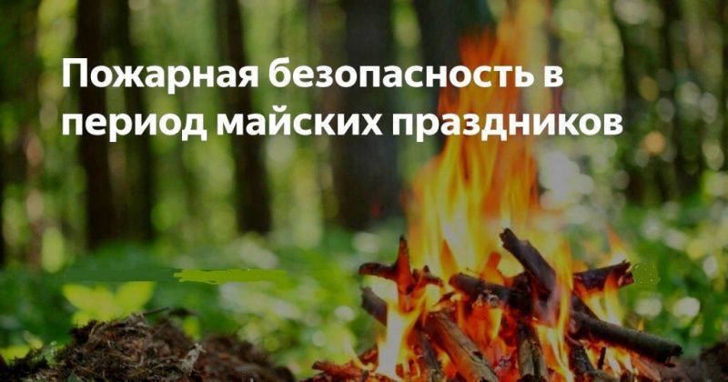 Главная опасность на пикнике — это костер