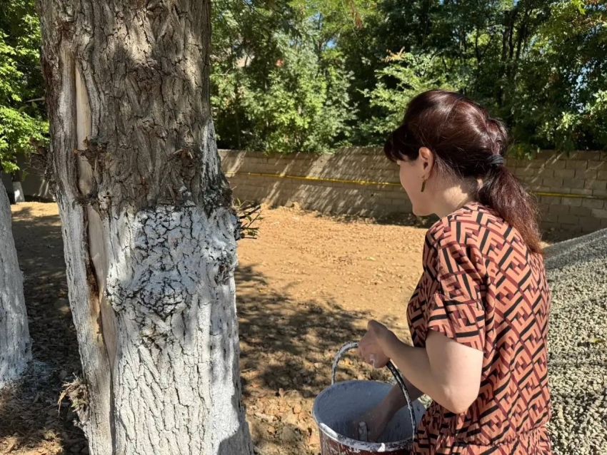 СОШ №17 им. М.М. Дацаева приняла участие во Всероссийском субботнике