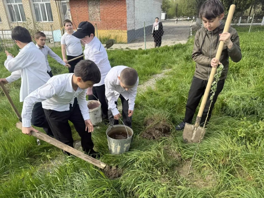 В рамках Всероссийского субботника СОШ №11 высадила 50 деревьев