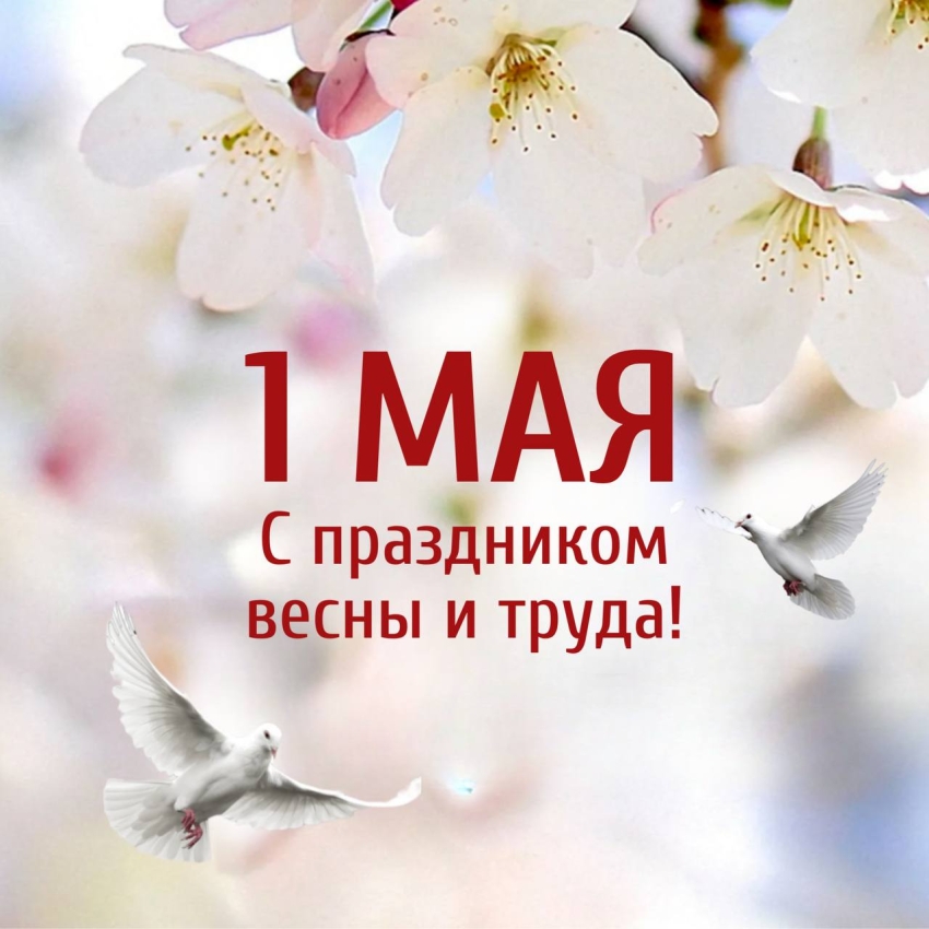 Поздравление Главы Хасавюрта Корголи Корголиева с праздником Весны и Труда