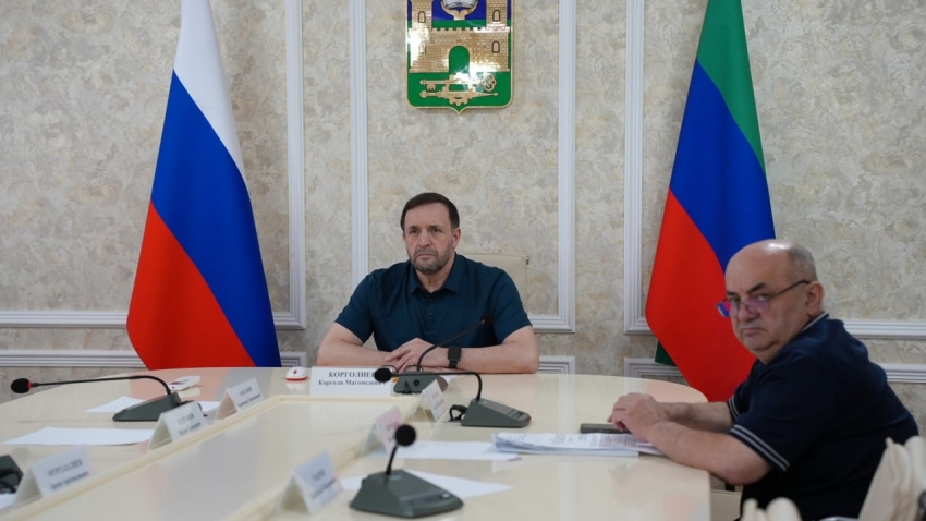 Корголи Корголиев принял участие в заседании Правительственной комиссии по ликвидации последствий паводков