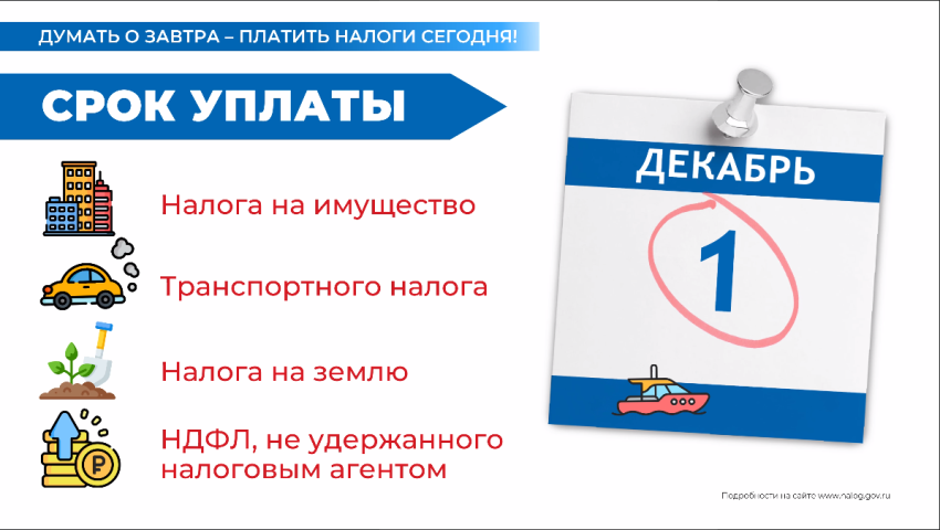 Успейте оплатить налоги до 1 декабря